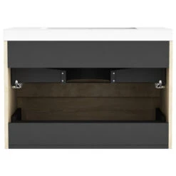 The Cosmo Wall Mounted Modern Bathroom Vanity, Ace, 30" 14 The Cosmo Wall Mounted Modern Bathroom Vanity, Ace, 30" -Warm Bathroom 024129d5021e5038 7114 w800 h800 b1 p0