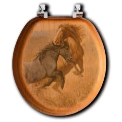 Toilet Seat, Elongated, Challenged, Round