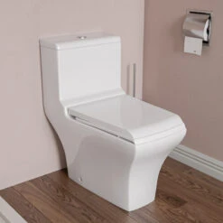 Alfi Brand Brushed Stainless Steel Recessed Toilet Paper Holder With Cover -Warm Bathroom 0a91503b0291161a 8279 w800 h800 b0 p0