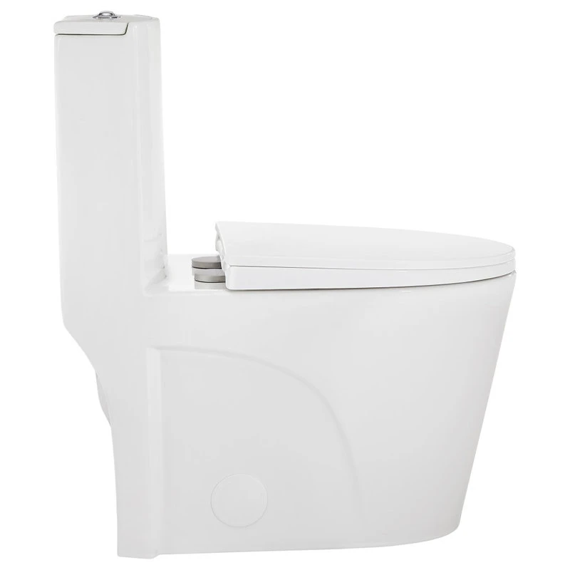 St. Tropez Elongated Toilet, Dual Flush, Glossy White 4 St. Tropez Elongated Toilet, Dual Flush, Glossy White - Image 4