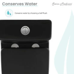 Sublime II Compact One-Piece Toilet, Dual Flush 0.8/1.28 GPF, Matte Black -Warm Bathroom 1351365d024c4e78 2056 w800 h800 b0 p0