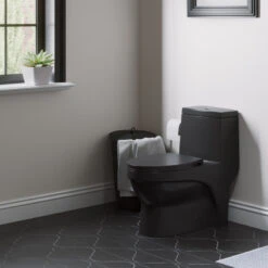 Virage One Piece Elongated Dual Flush Toilet 0.8/1.28 Gpf, Matte Black