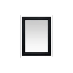 Transitional Framed Mirror, Black Onyx, 24"