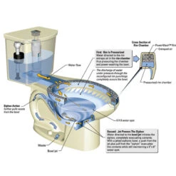 American Standard H2Option Siphonic Dual Flush Elongated Toilet, White -Warm Bathroom 2461437709b1ca2a 6932 w800 h800 b1 p0