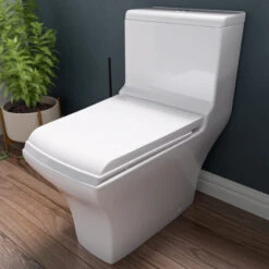 Dual Flush One Piece Eco-Friendly High Efficiency Low Flush Ceramic Toilet