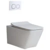 Homary Dual Flush Wall Hung Toilet In White 1.1/1.6 GPF Elongated Toilet Bowl, Bowl