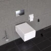 Chrome Dual Flush Buttons For Wall Mounted Toilet