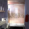 DreamLine SHDR-1160726-01 Visions Shower Door
