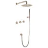 Wall Mounted Rain Shower System With Hand Shower-Includes Rough-In Valve, Brushed Gold