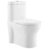 Monaco One-Piece Elongated Toilet Dual Flush 0.8/1.28 GPF