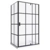 Taylor 48-RP Bath Screen Shower Enclosure Black Matt 48x60 With Acrylic Base