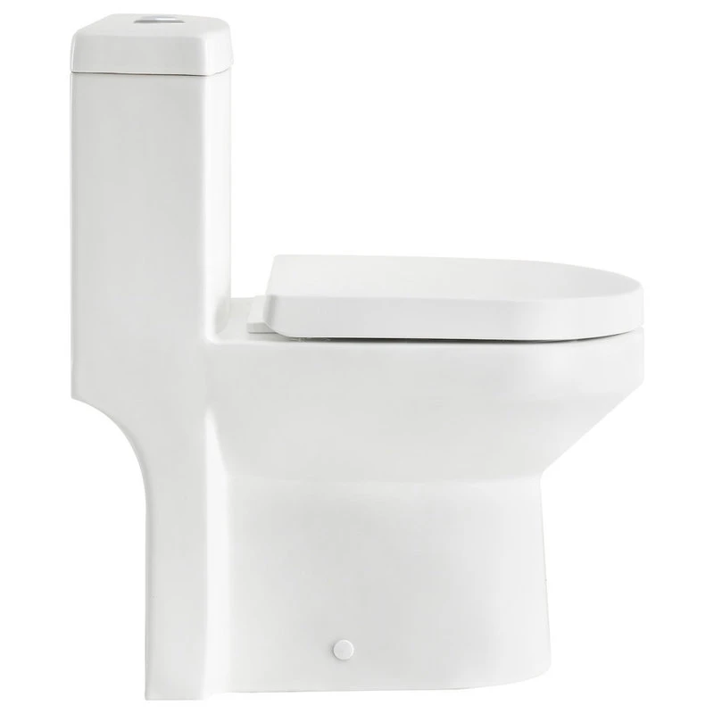 Small Compact Toilet Tiny One-Piece Elongated Toilet, Dual Flush, 0.8/1.28 GPF 1 Small Compact Toilet Tiny One-Piece Elongated Toilet, Dual Flush, 0.8/1.28 GPF