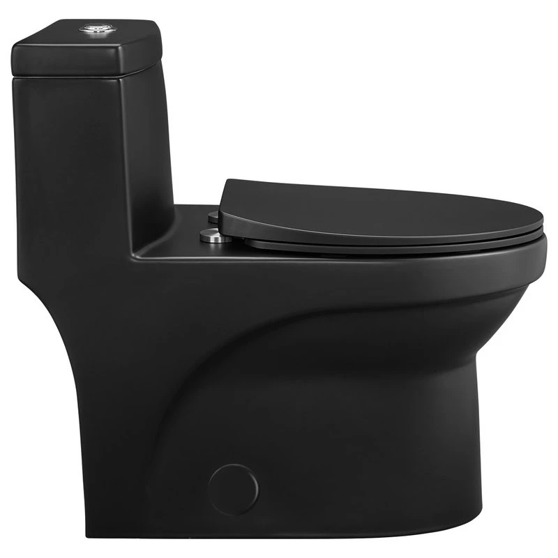 Virage One Piece Elongated Dual Flush Toilet 0.8/1.28 Gpf, Matte Black 4 Virage One Piece Elongated Dual Flush Toilet 0.8/1.28 Gpf, Matte Black - Image 4