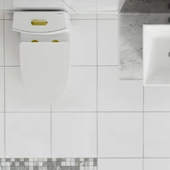 St. Tropez Elongated Toilet, Dual Flush, Glossy White With Gold Hardware -Warm Bathroom 9c91586203583a63 8357 w800 h800 b0 p0