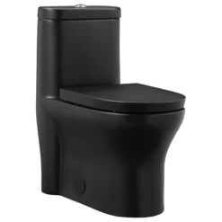 Monaco One Piece Elongated Toilet Dual Flush, Matte Black