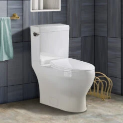 Fine Fxitures Modern Two Piece Elongated Toilet Ada Compliant