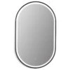 Oleggio Oval 36" Framed Bathroom/Vanity LED Lighted Wall Mirror, Matte Black