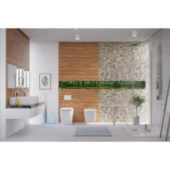 Concorde Back To Wall Concealed Tank Toilet Bowl -Warm Bathroom b6415da0020415ca 7640 w800 h800 b0 p0