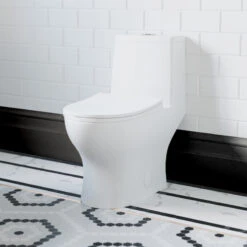 Ivy One Piece Toilet, 10" Rough-In