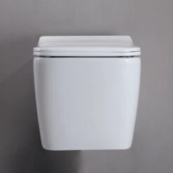 Homary Dual Flush Wall Hung Toilet In White 1.1/1.6 GPF Elongated Toilet Bowl, Bowl -Warm Bathroom c9c10eb20efeee1d 2242 w800 h800 b0 p0