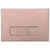 Wall Mount Dual Flush Actuator Plate With Rectangle Push Buttons In Rose Gold