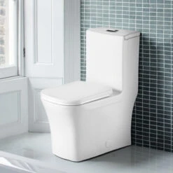 Fine Fixtures Dual-Flush Elongated One-Piece Toilet With High Efficiency Flush -Warm Bathroom cbd11fc60e55a4f8 1037 w800 h800 b0 p0