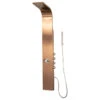 PULSE ShowerSpas Brushed Bronze Stainless Steel Santa Cruz ShowerSpa 1033