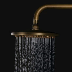Classic Exposed Brass Two Handle Round Rainshower & Handshower Shower Set -Warm Bathroom da2114c10ecb9e47 5939 w800 h800 b0 p0