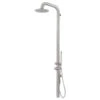 HEATGENE Outdoor Shower With Handheld Shower, Wall-Mounted, Brushed