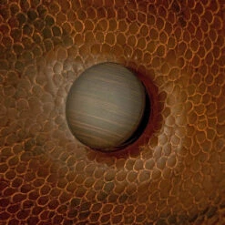 Premier Copper Products 1.5" Non-Overflow Pop-up Bathroom Sink Drain - Oil Rubbed Bronze -Warm Bathroom e6e175be00774c8f 8188 w800 h800 b0 p0