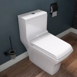 Dual Flush One Piece Eco-Friendly High Efficiency Low Flush Ceramic Toilet -Warm Bathroom ee21313902d491ef 2887 w800 h800 b0 p0
