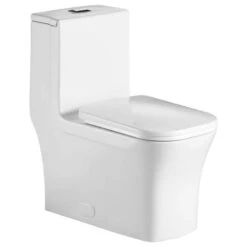 Fine Fixtures Dual-Flush Elongated One-Piece Toilet With High Efficiency Flush