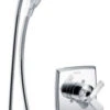 Delta Ashlyn Monitor 17 Series Shower Trim With In2ition, Polished Chrome