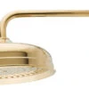 Showerscape 10" Showerhead With 17" Shower Arm, Polished Brass