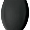 Elongated Plastic Toilet Seat With Whisper Close, Black