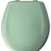 Round Plastic Toilet Seat With Whisper Close, Sea Green