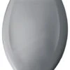 Elongated Plastic Toilet Seat With Whisper Close, Country Grey