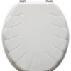 Trimmer Engraved Shell Design Wood Toilet Seat With Chrome Hinges