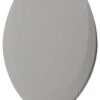 Bemis, Toilet Seat, Silver, 2"x15"x21"