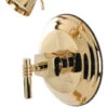 Kingston Brass Tub And Shower Faucet, Polished Brass