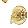 Kingston Brass Tub And Shower Faucet Trim Only, Polished Brass